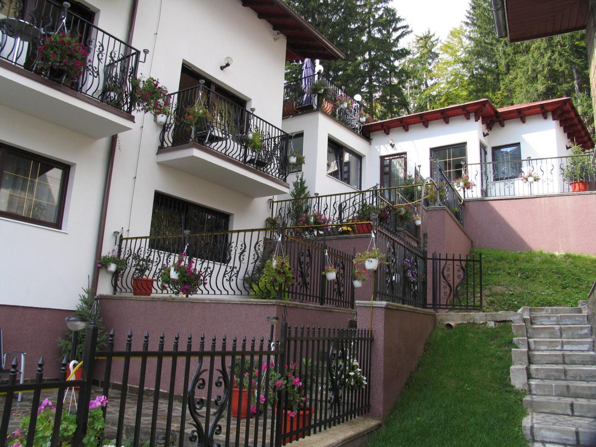 Pensiunea Tv Condor Sinaia Exterior foto