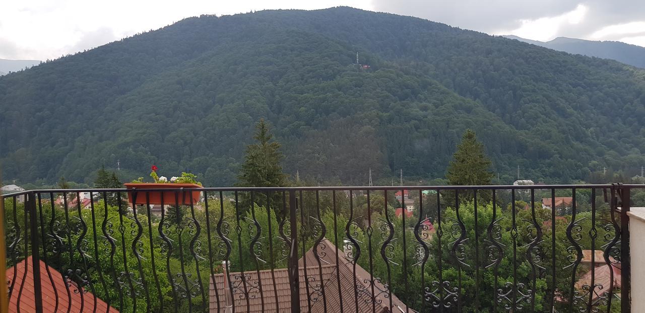 Pensiunea Tv Condor Sinaia Exterior foto